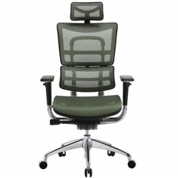 Ergonomic Office Chair-DL-802